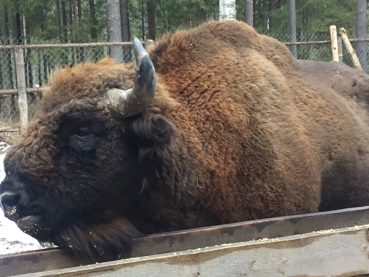 Личное фото 