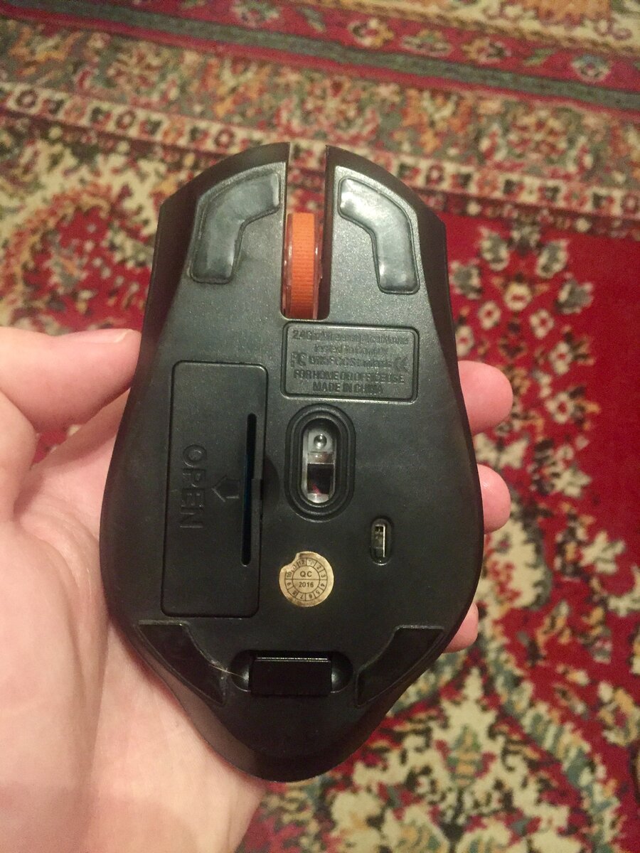 Нижняя сторона