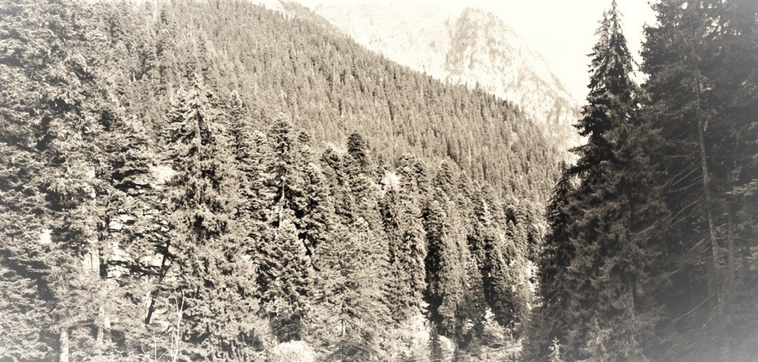 Домбай (фото из архивов моих родителей)