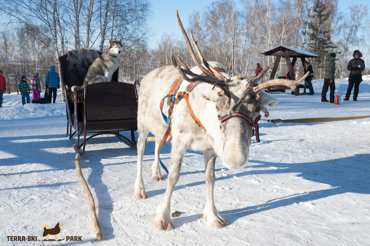 Терраски парк Нижегородская область. Терраски парк Кстово. Терра Скай парк Нижний Новгород. Терасский парк Нижний Новгород сайт.