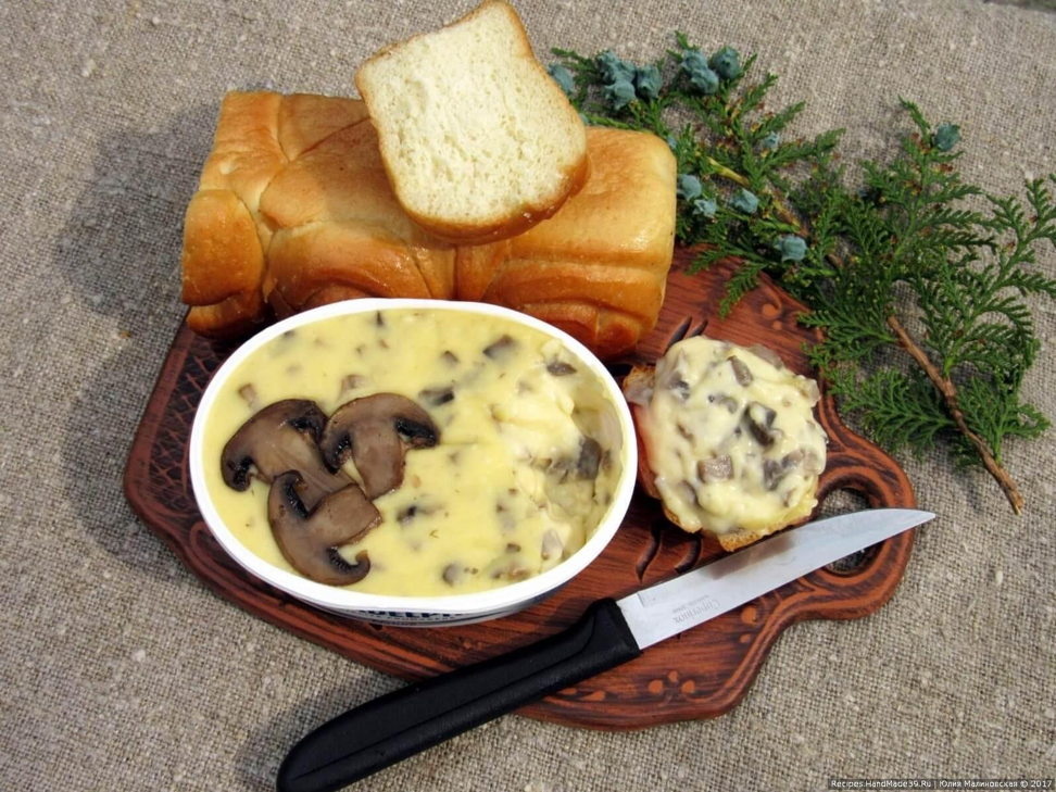 Сыр с грибами. Домашний плавленый сыр с грибами. Грибы с плавленым сыром. Грибы с плавленным сыром.