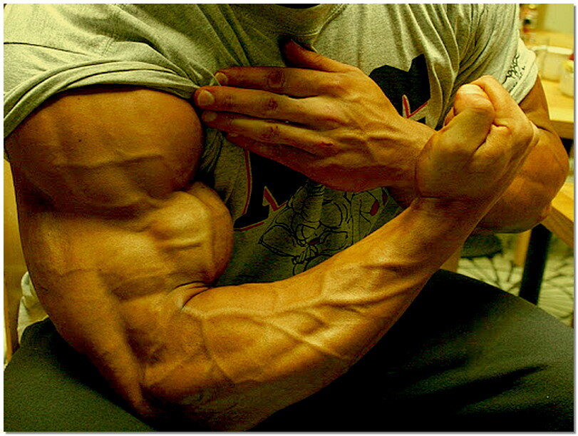 Источник фото: https://lh6.googleusercontent.com