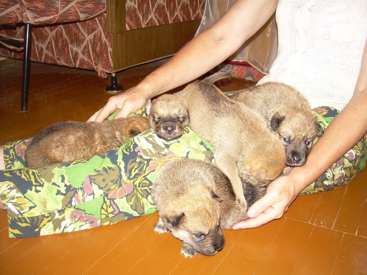 Авторский фотоархив