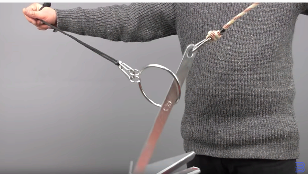 Якорный ретривер.