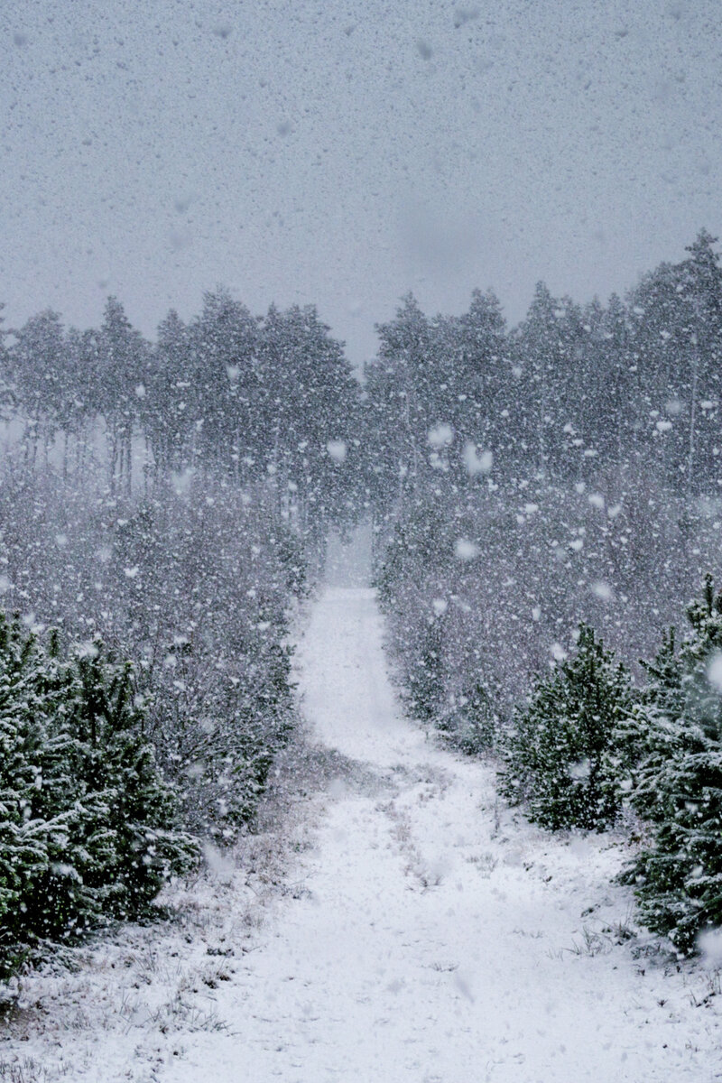 Фото с просторов интернета