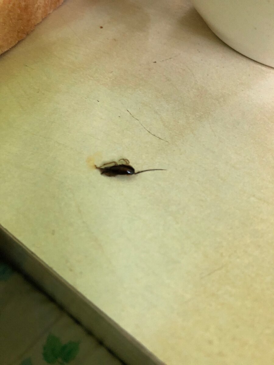 Куда докатились 