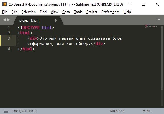 Так выглядит контейнер в программе Sublime Text 3.