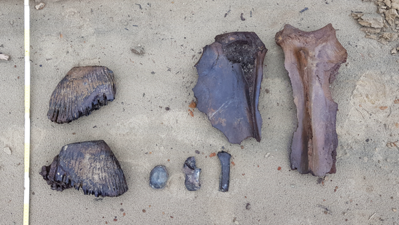  Фото: Правительство ЯНАО 