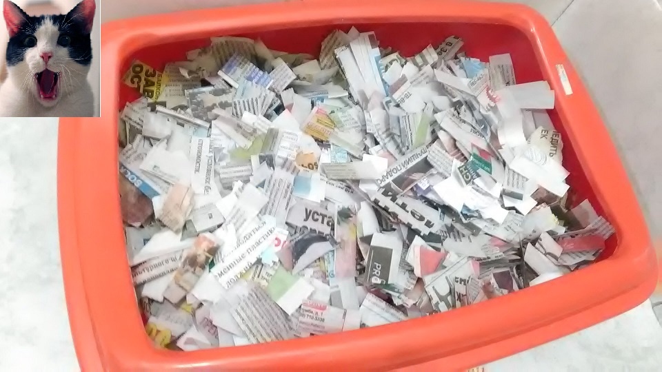 Импортозамещение кошачьего туалета.