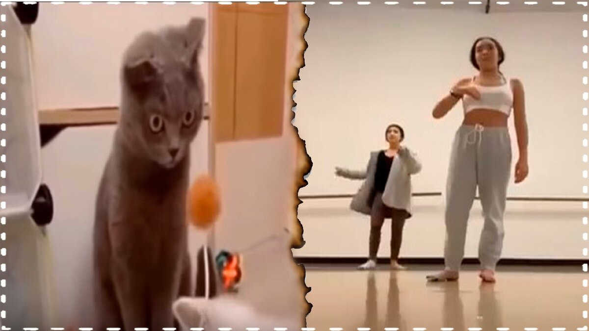 Лютые приколы, чудаки из соцсетей