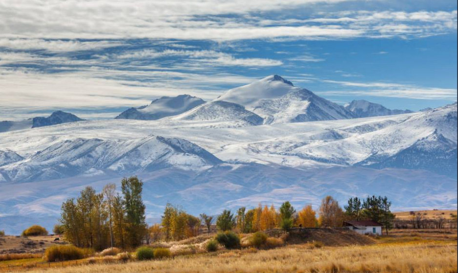 Джунгария