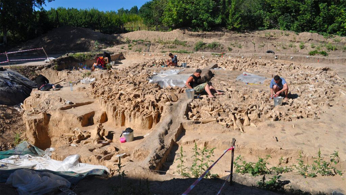 костенки музей заповедник