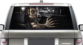 Фото с aliexpress