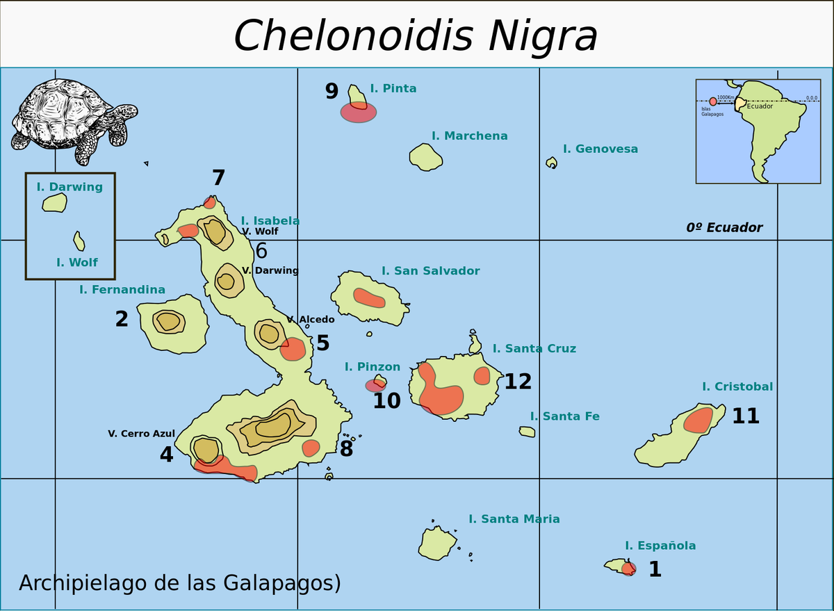 Где галапагосские острова на карте. Галапагосские острова показать на карте. Где находится Галапагос. Ареал обитания Галапагосские острова. Архипелаг гигантских черепах на карте.