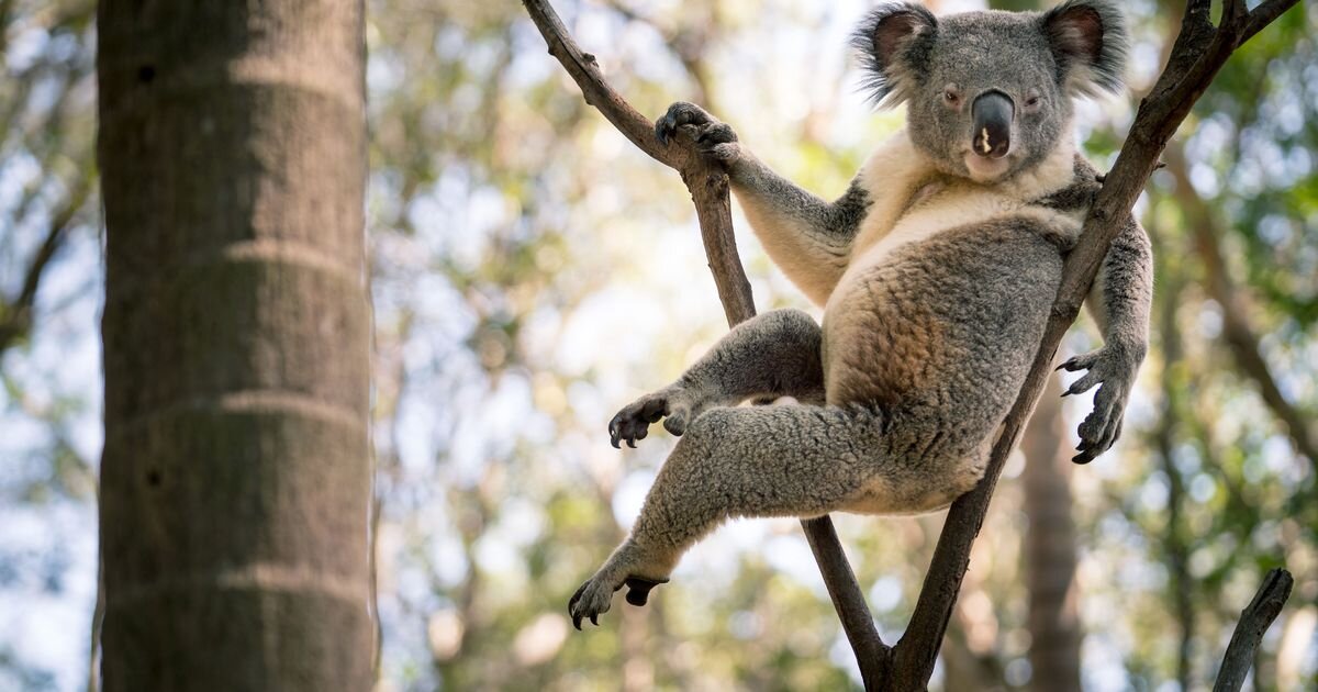 В конце статьи конкурс на лучшую подпись для этого фото!