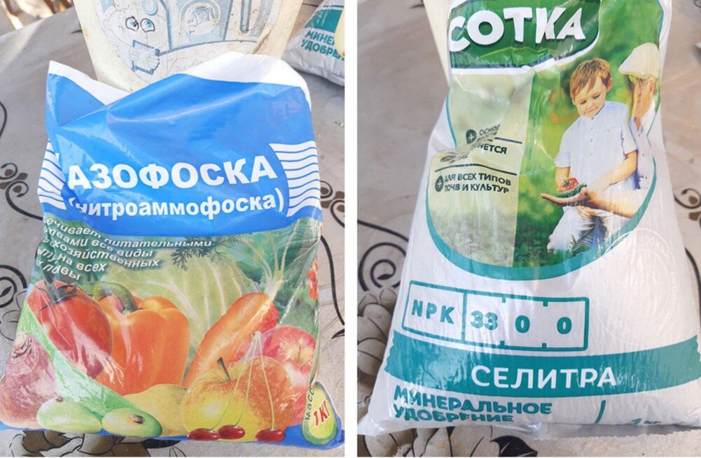 Весенние удобрения для клубники