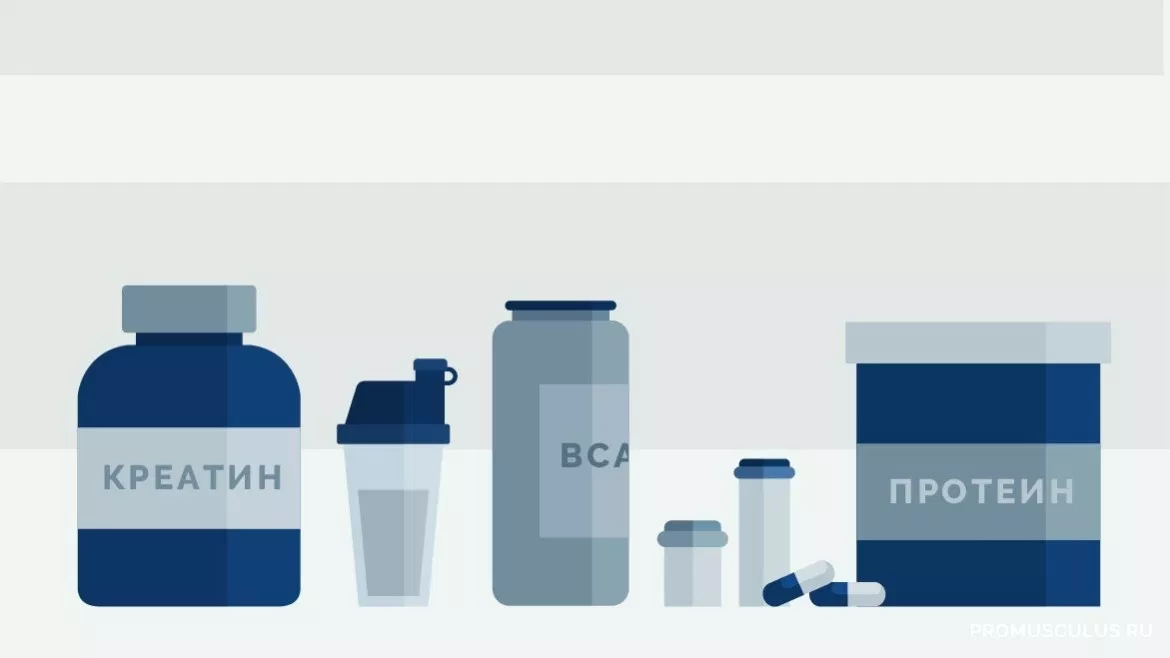 Спортивное питание обычно подразделяют на классы, наиболее известны следующие: 
Высокобелковые продукты. Очень часто их называют протеинами
Сывороточный протеин
Соевый протеин
Яичный протеин
Углеводно-белковые смеси (гейнеры)
Аминокислоты
Глутамин (глютамин)
Аргинин
Лизин
Аланин
Таурин
Донаторы оксида азота (NO-формулы)
Жиросжигатели
L-карнитин
Специальные препараты
Креатин
Антикатаболики
BCAA
Препараты, повышающие уровень тестостерона
Средства для укрепления суставов и связок
Глюкозамин
Хондроитин
Витамины и витамино-минеральные комплексы
Энергетики
Кофеин
Изотоники
