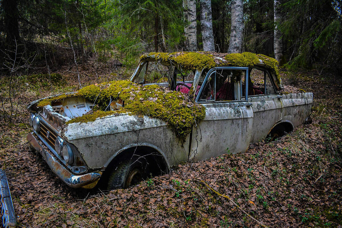 15 грустных фото брошенных автомобилей: отечественные и иномарки |  Автокультура CARAKOOM | Дзен