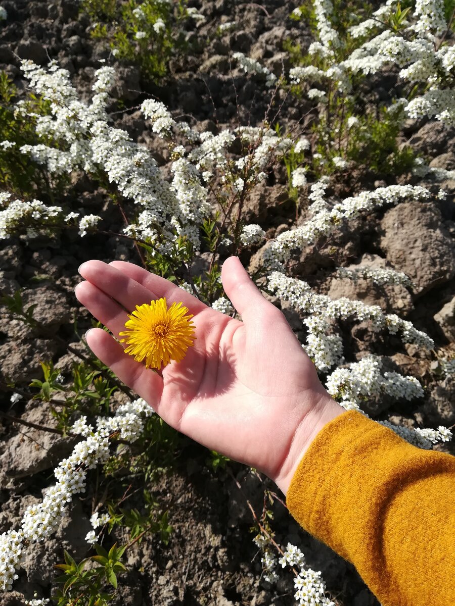 Счастье есть!