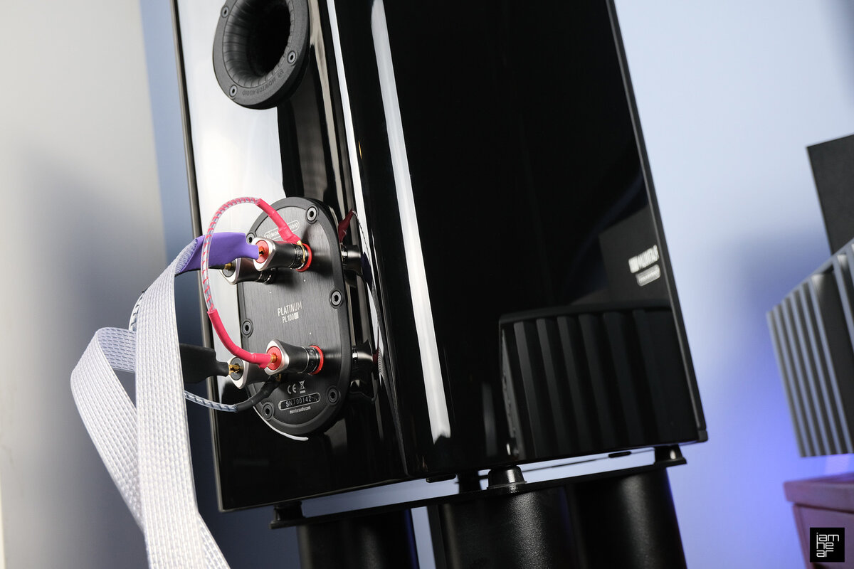 Audio monitoring Audio monitoring