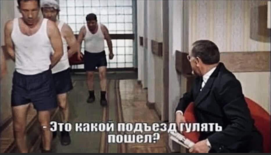 Москвичи шутят на тему "Прогулок по расписанию от Мэра". Источник фото: Яндекс картинки