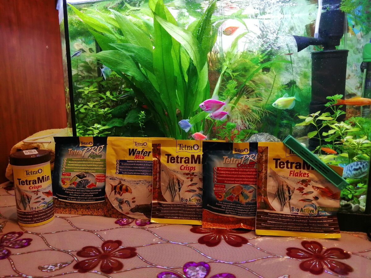 У моей фауны разнообразное меню. 