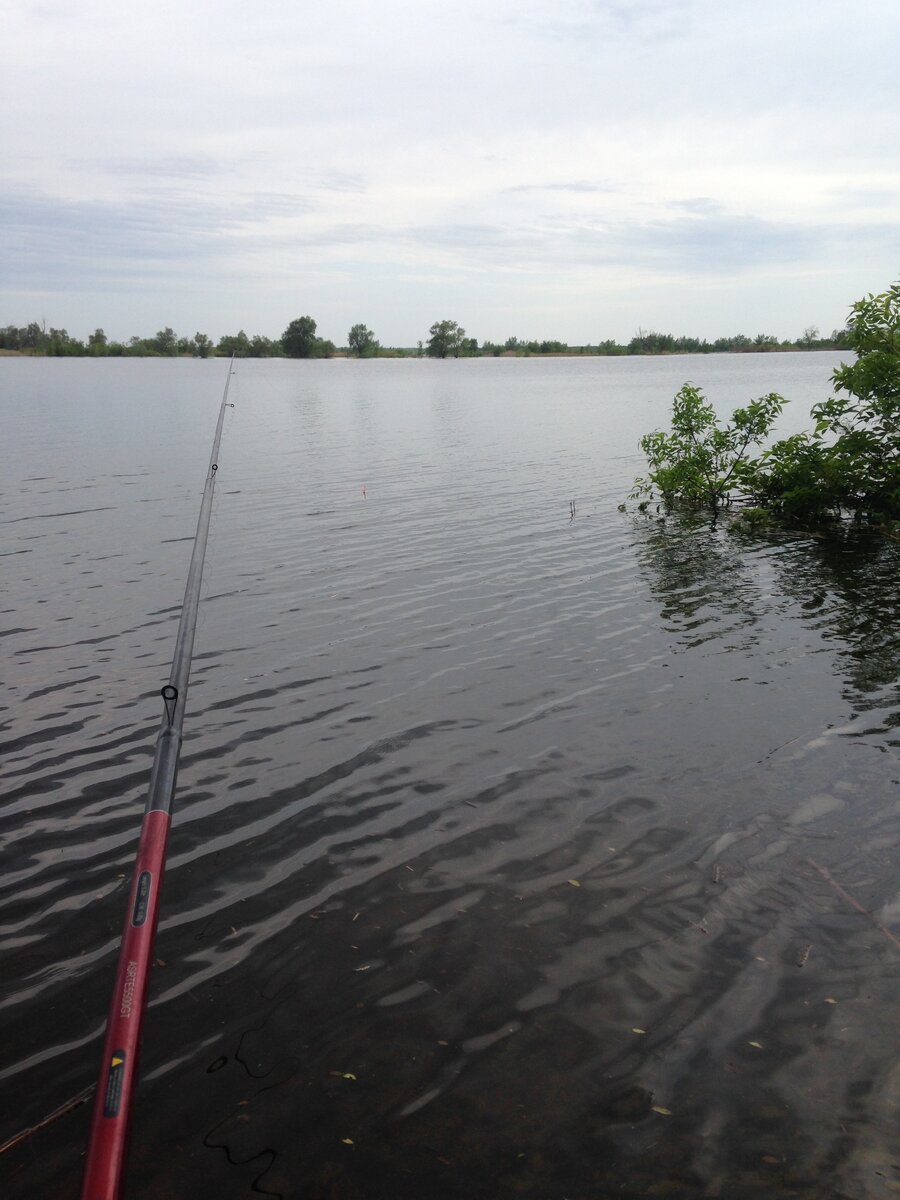 Вот так вот я посидел, уровень воды видно по затонувшему дереву. Фото автора.