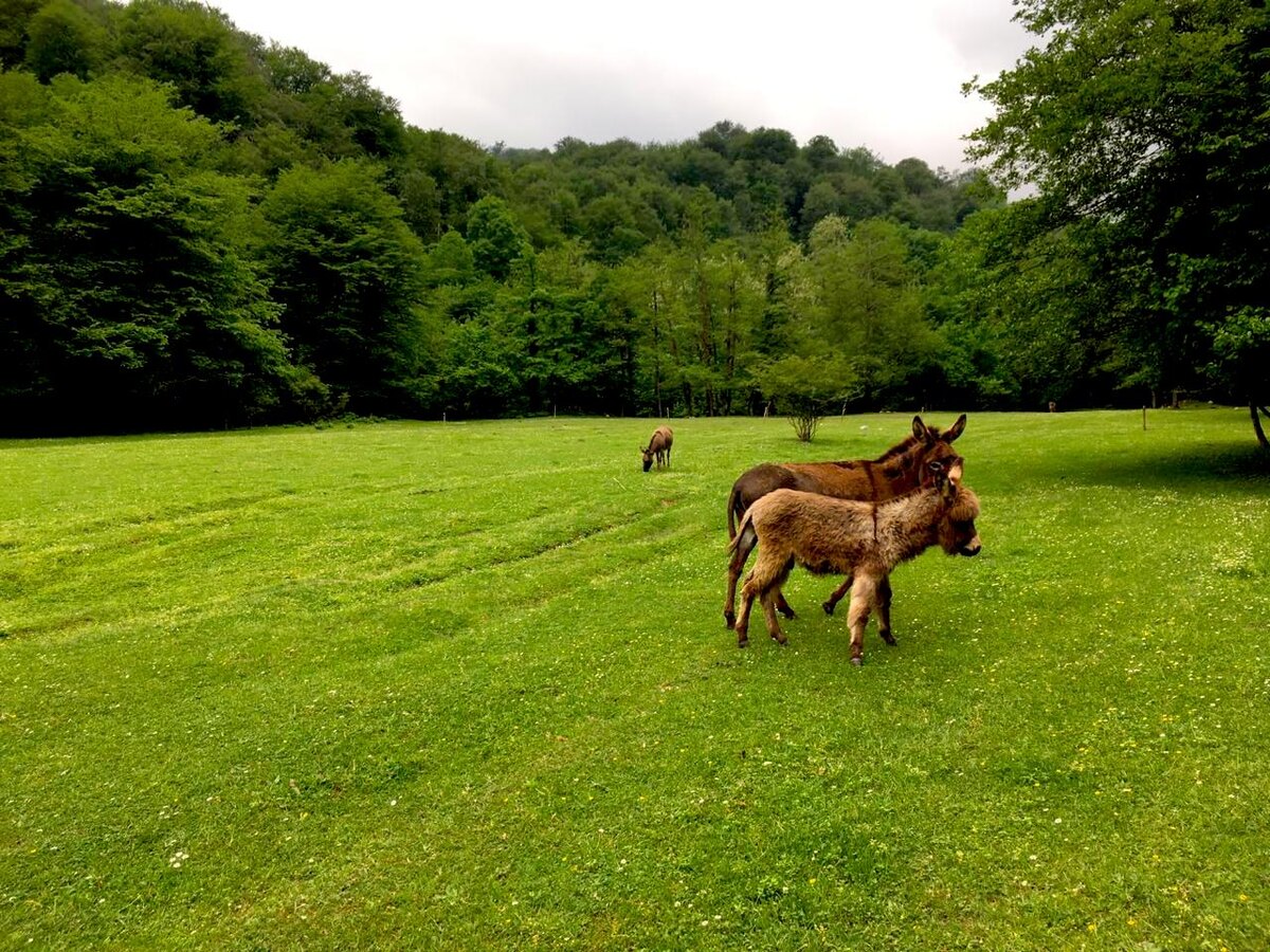 Ваши читатели - человеки