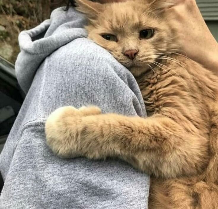 Фото взято из открытого источника для иллюстрации статьи