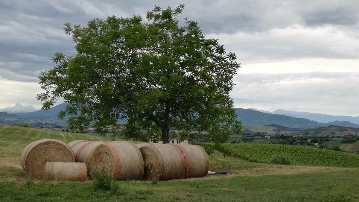 рядышком с Асколи Пичено
