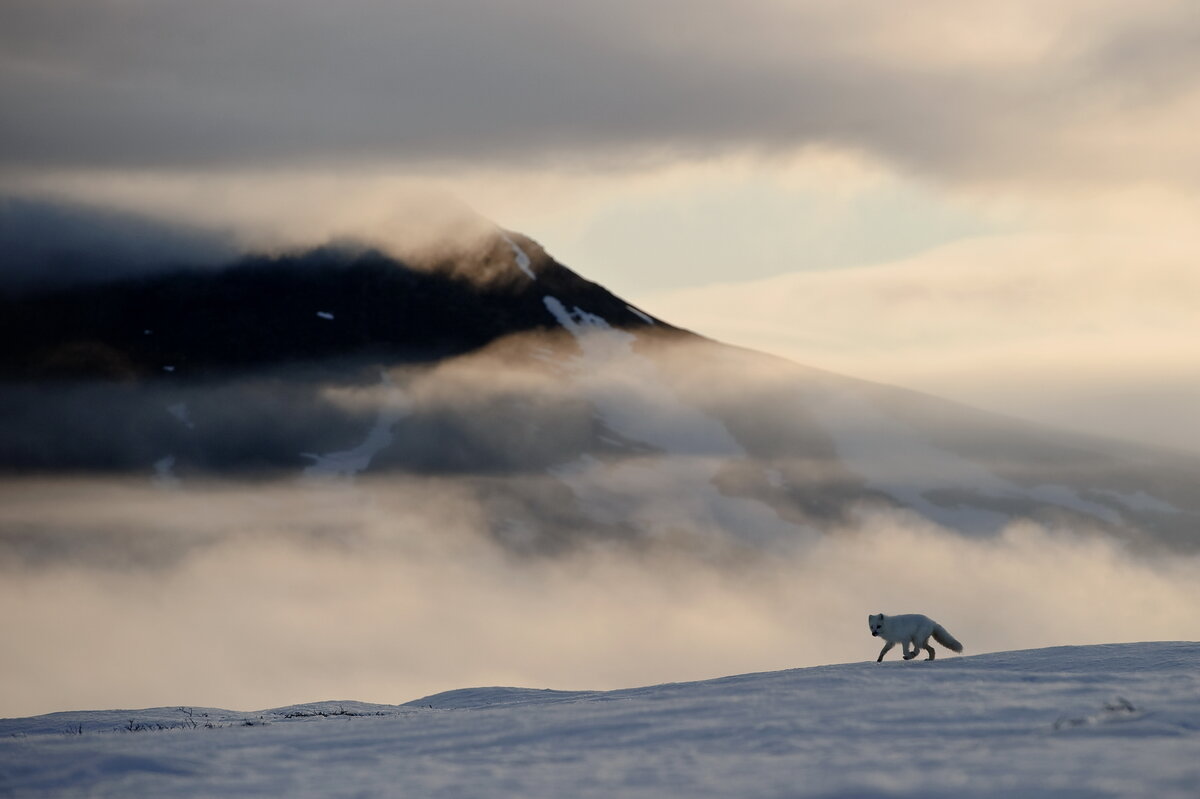 Фото: Сергей Горшков, GeoPhoto