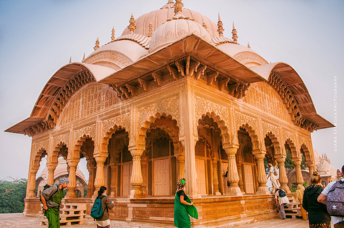 Dog Temple India