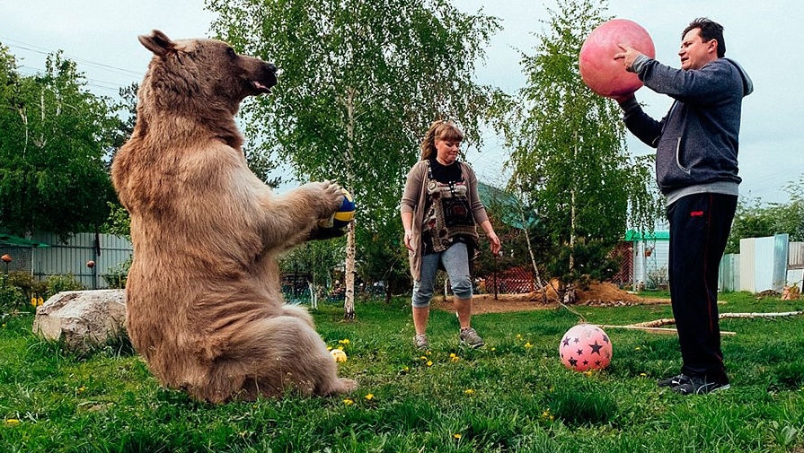 Изображение взято из свободных источников 