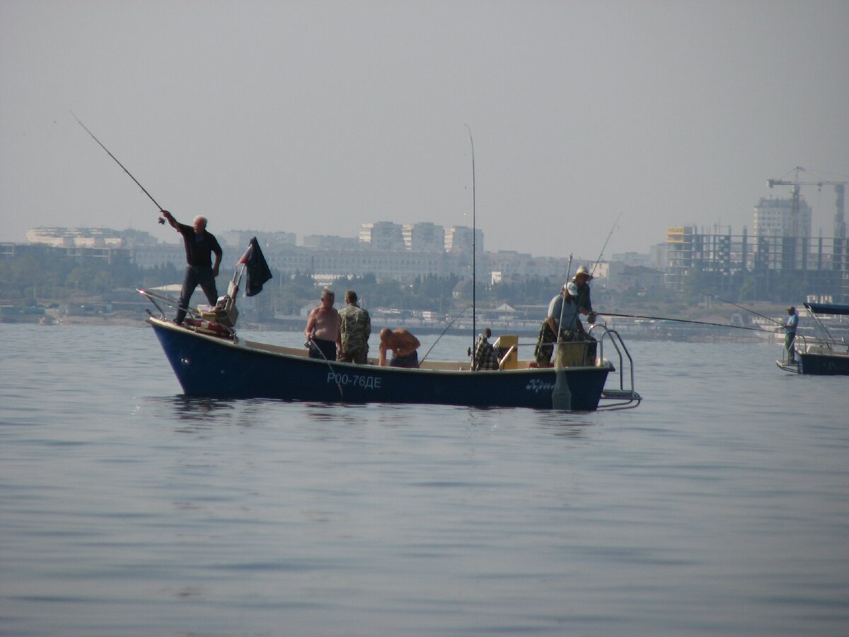 Морской окунь