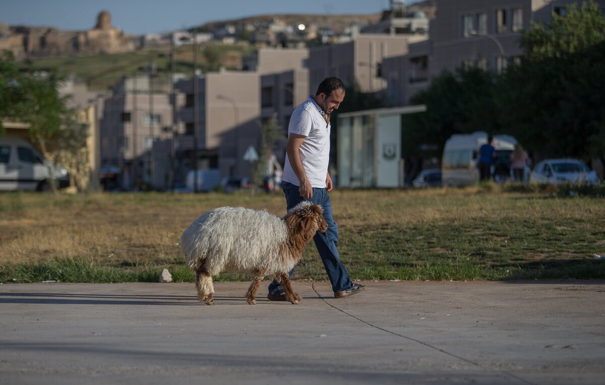 Картинка свободный доступ интернета.