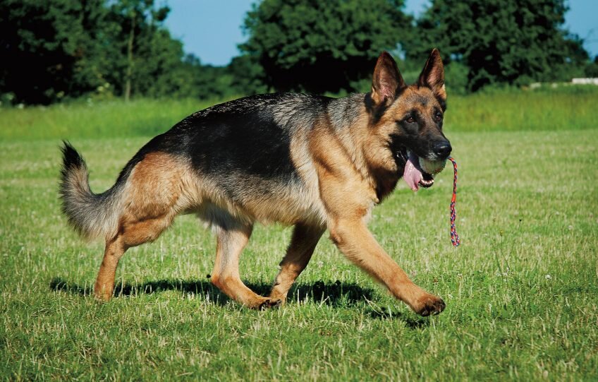 Источник яндекс.картинки