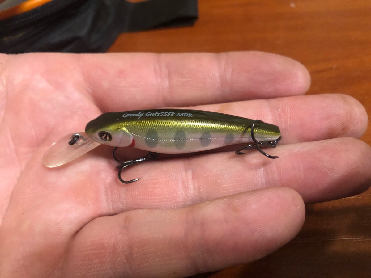 Любимый воблер, для ловли пёстрой бестии).