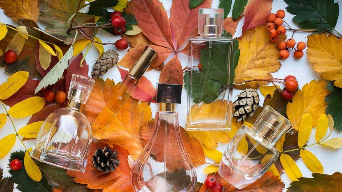 Осенние ароматы 2020 (фото из открытых источников)