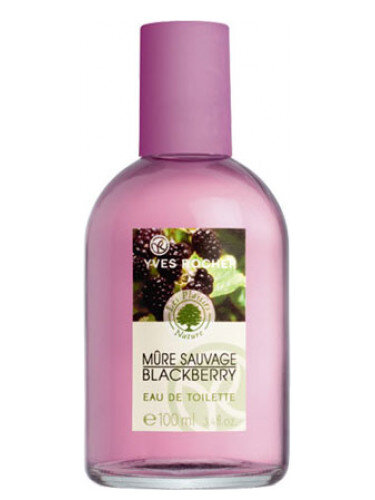 На фото обновлённый дизайн аромата Yves Rocher Mure Sauvage Blackberry