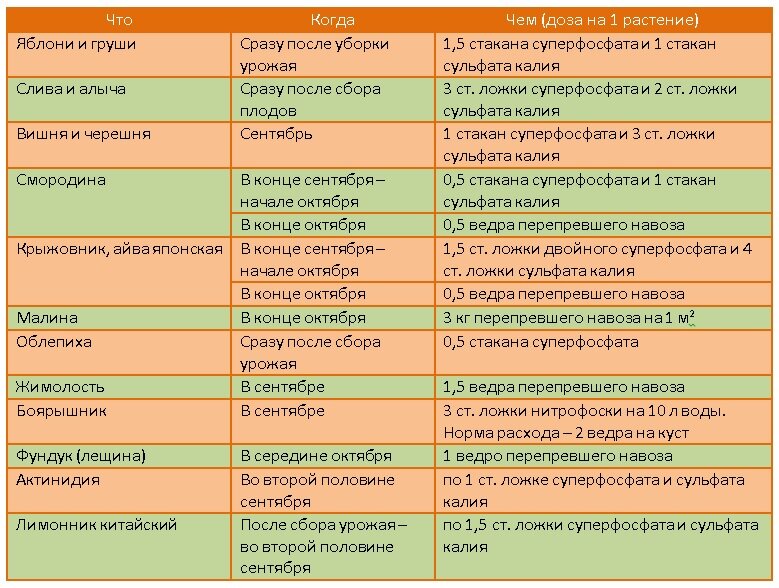 Подкормки для сада осенью