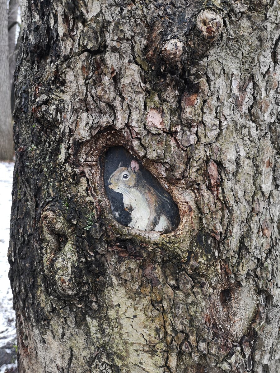 Жила была белочка.