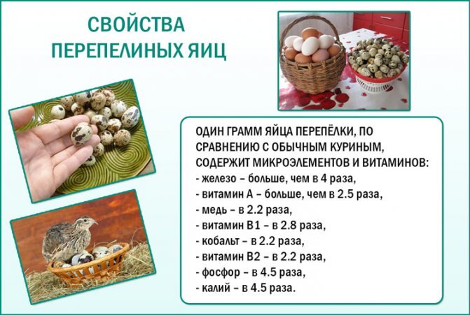 Яндекс Картинки