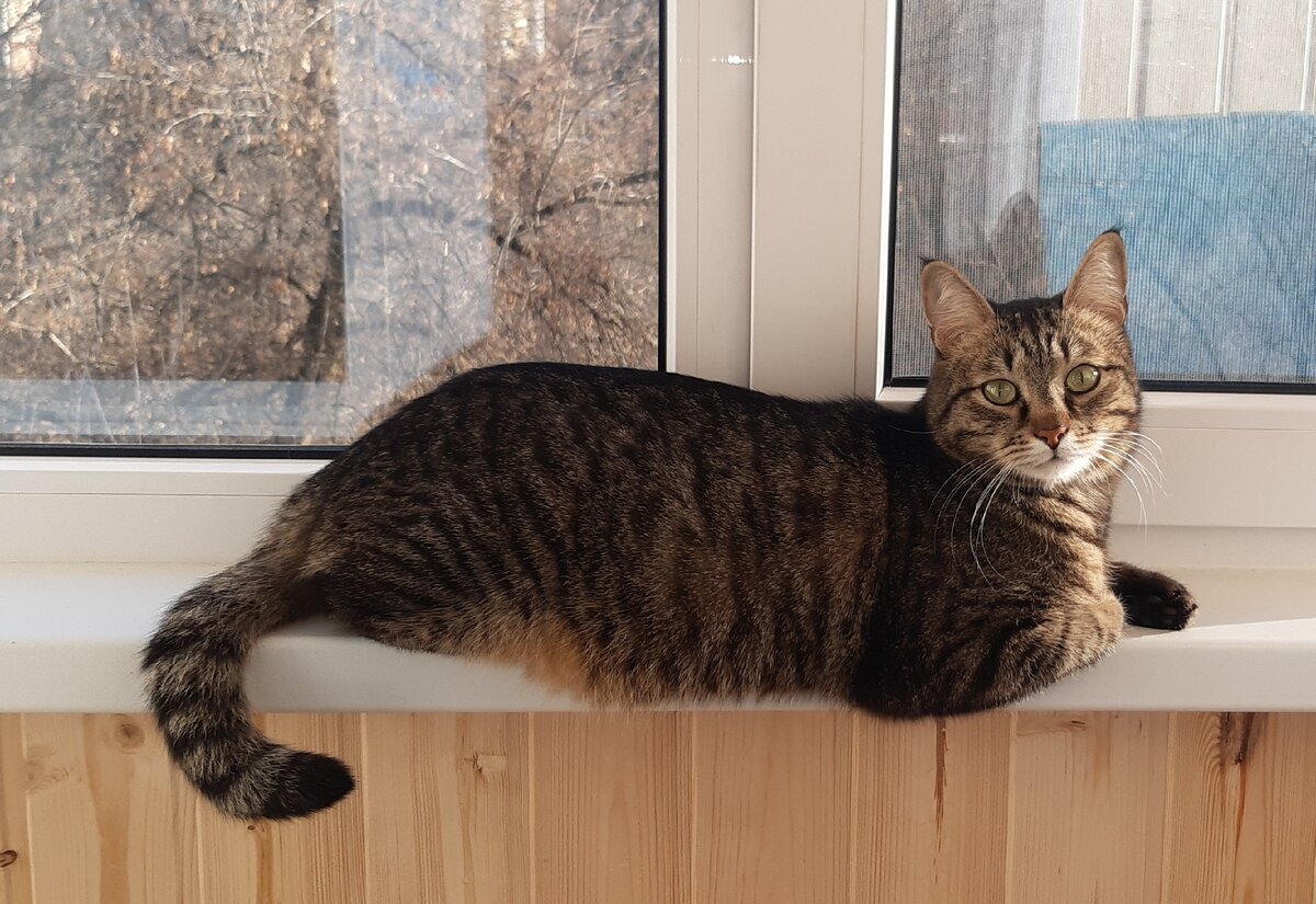 Кузя шлёт вам пушистый привет :)