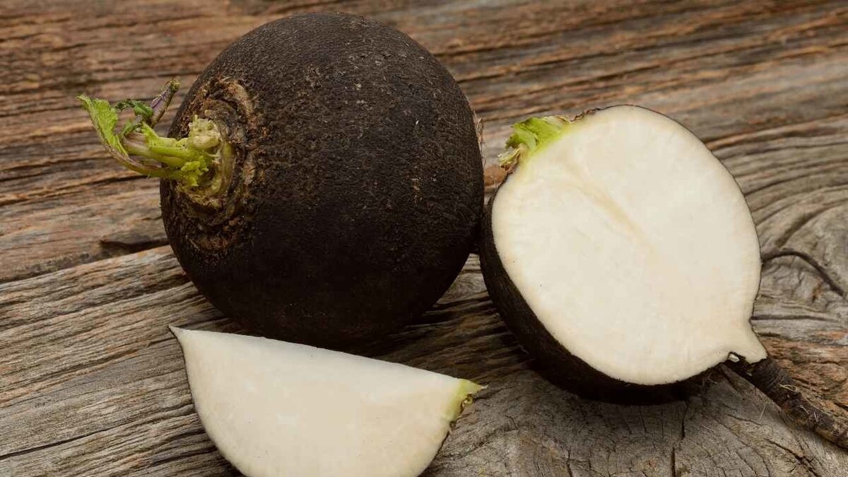 Чёрная редька. Изображение взято из открытых источников.