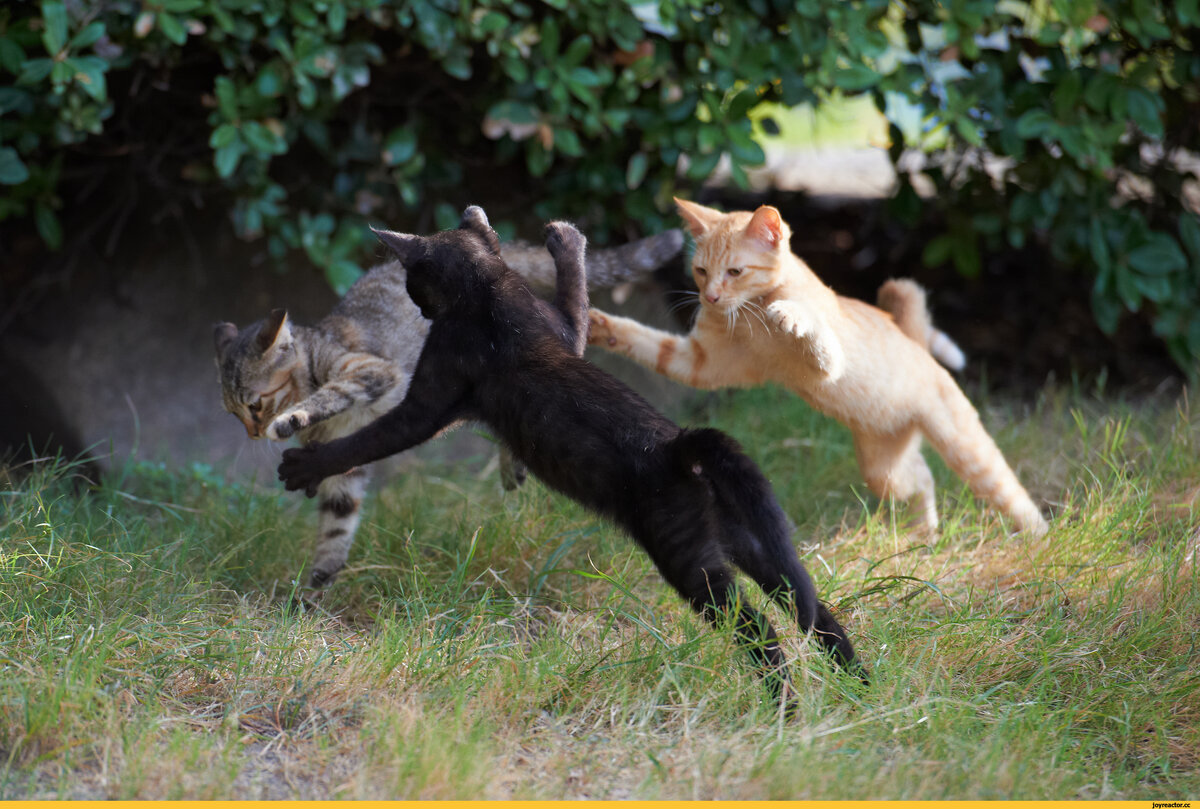 Фото из социальных сетей