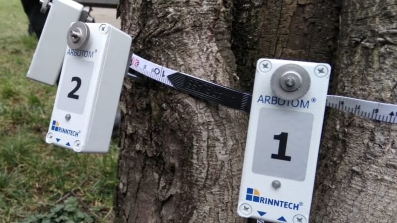 Так выглядит обследование деревьев - приборы и математика. Фото администрации Краснодара. 