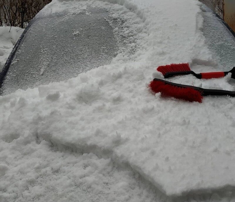 Источник фото https://www.instagram.com/p/CJqecRWD57_/