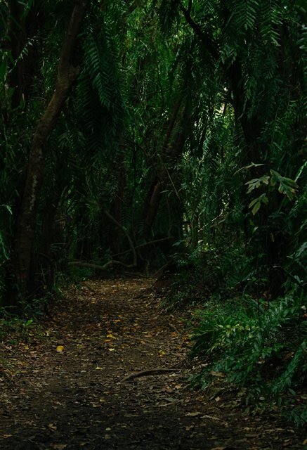 Фото автора Nandhu Kumar: Pexels