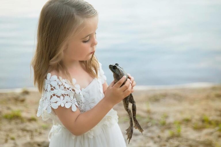 жаба или принц?