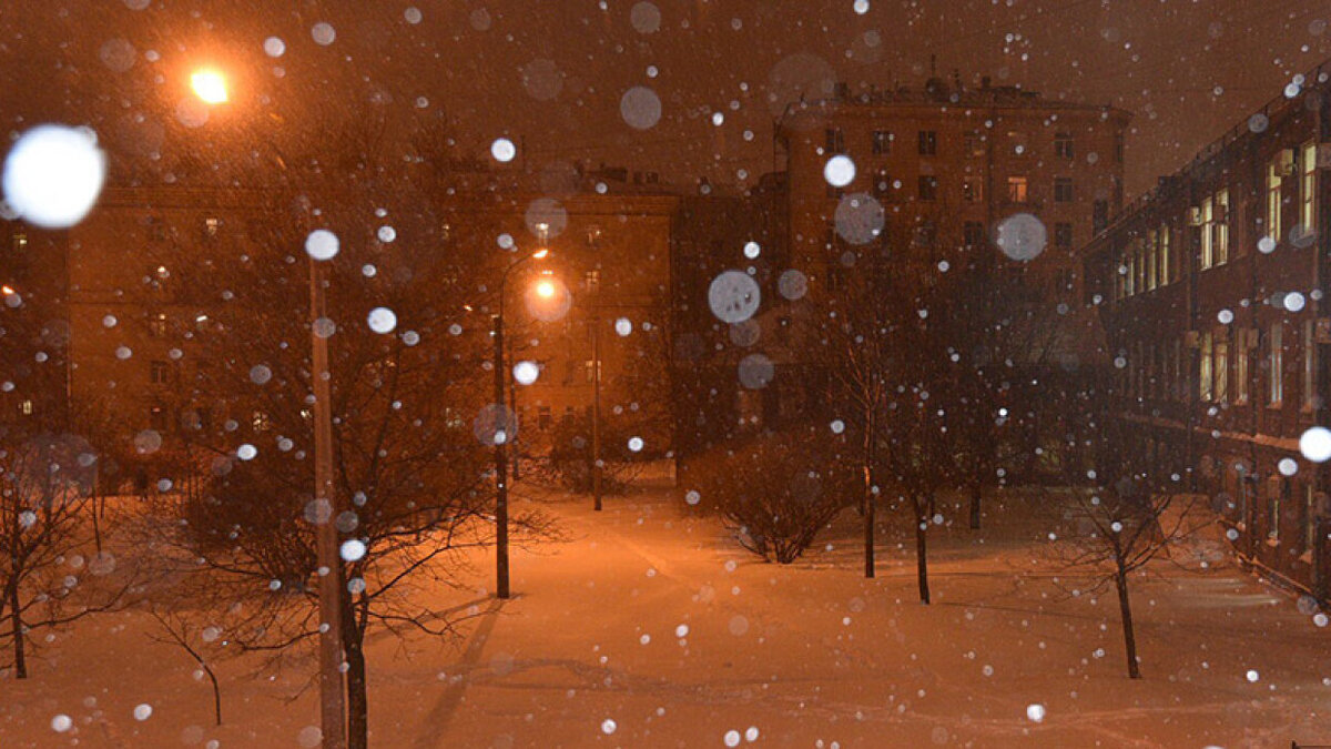 Метеочувствительные